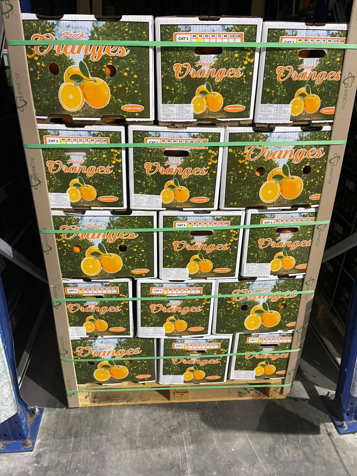 Fresh Oranges from Chile