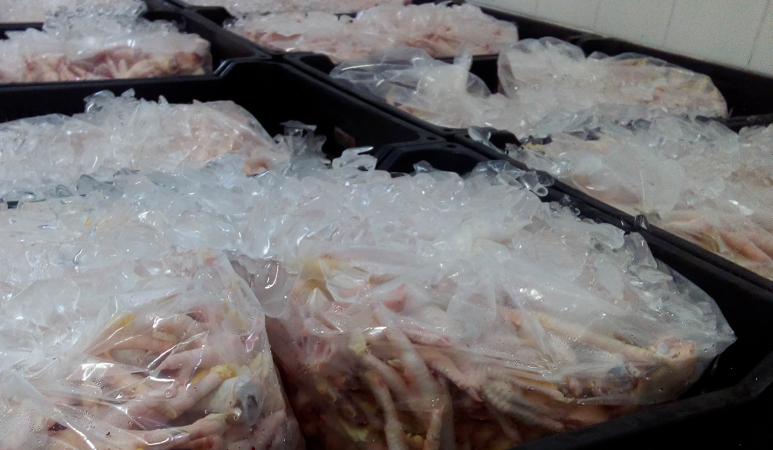 Brazilian Chicken Paws and Feet