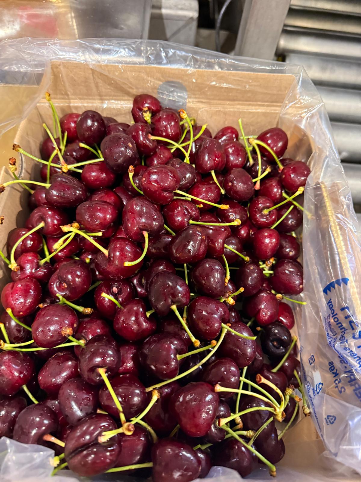 Sweet & Fresh Cherry from Chile