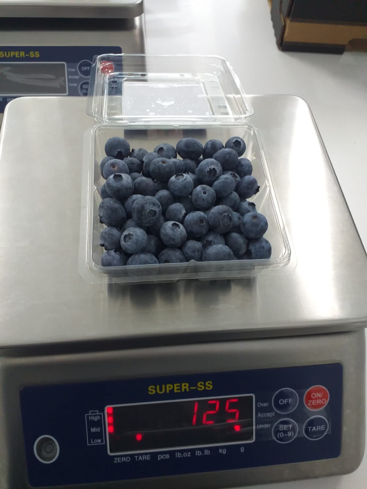 Best Quality Blueberries from Latin America 