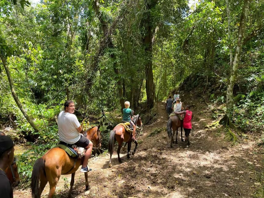 Samaná - Salto del Limón - Cayo Levantado