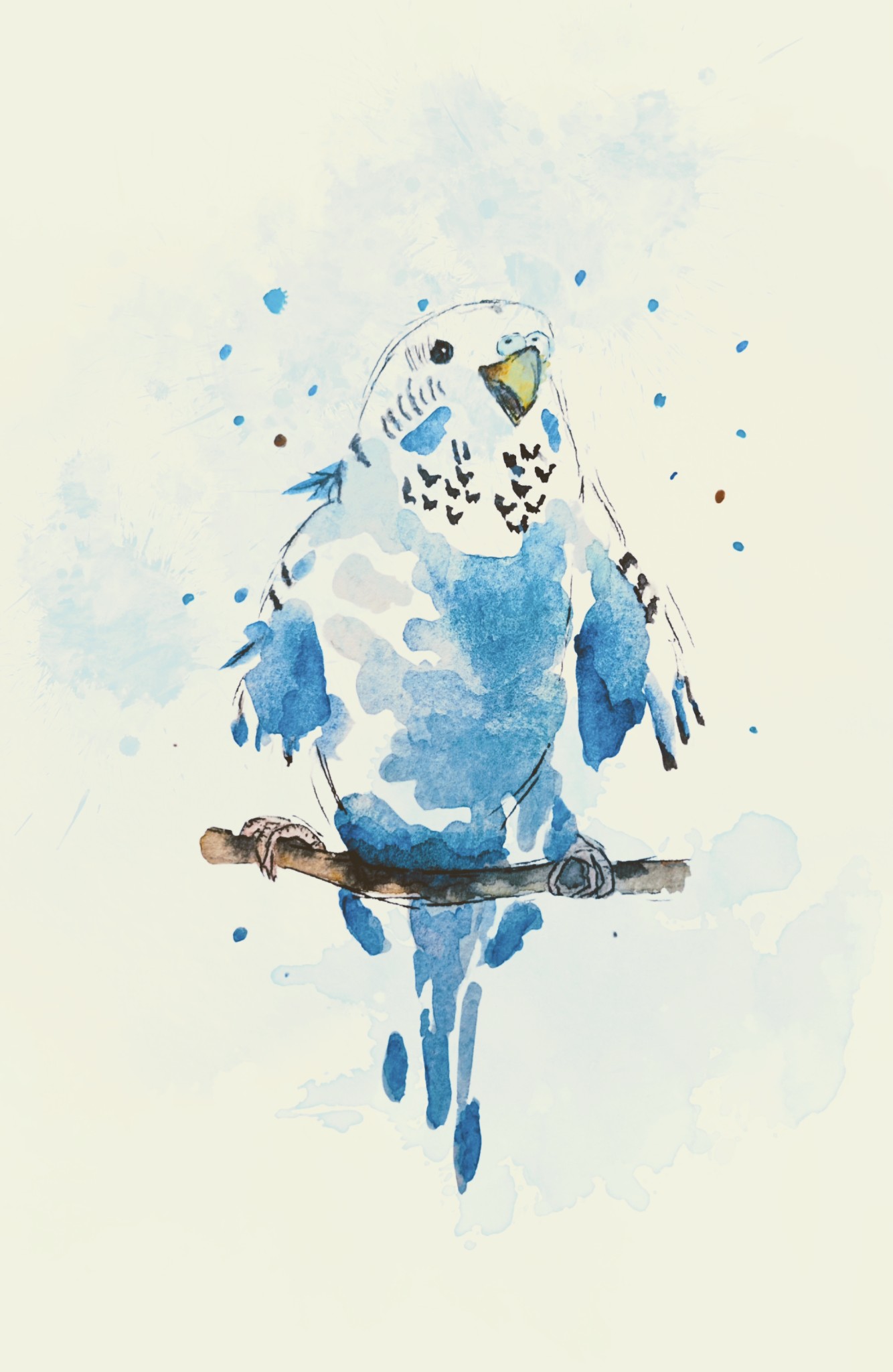 Blue budgie Greeting Card
