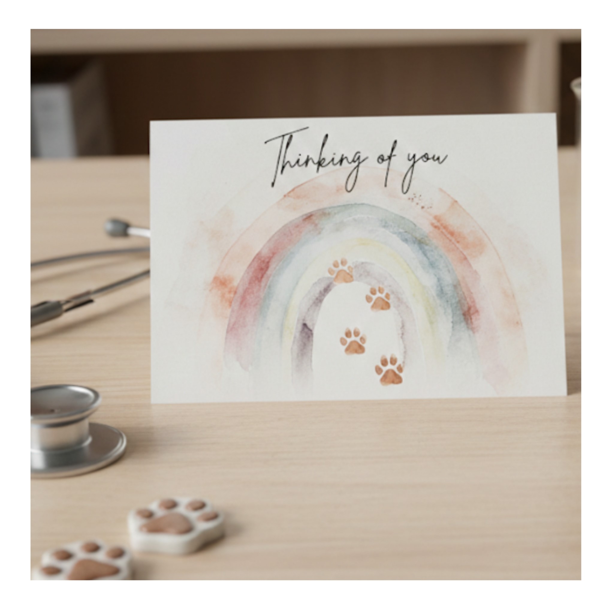 Veterinary pack, Pet Sympathy Cards, pack of 6