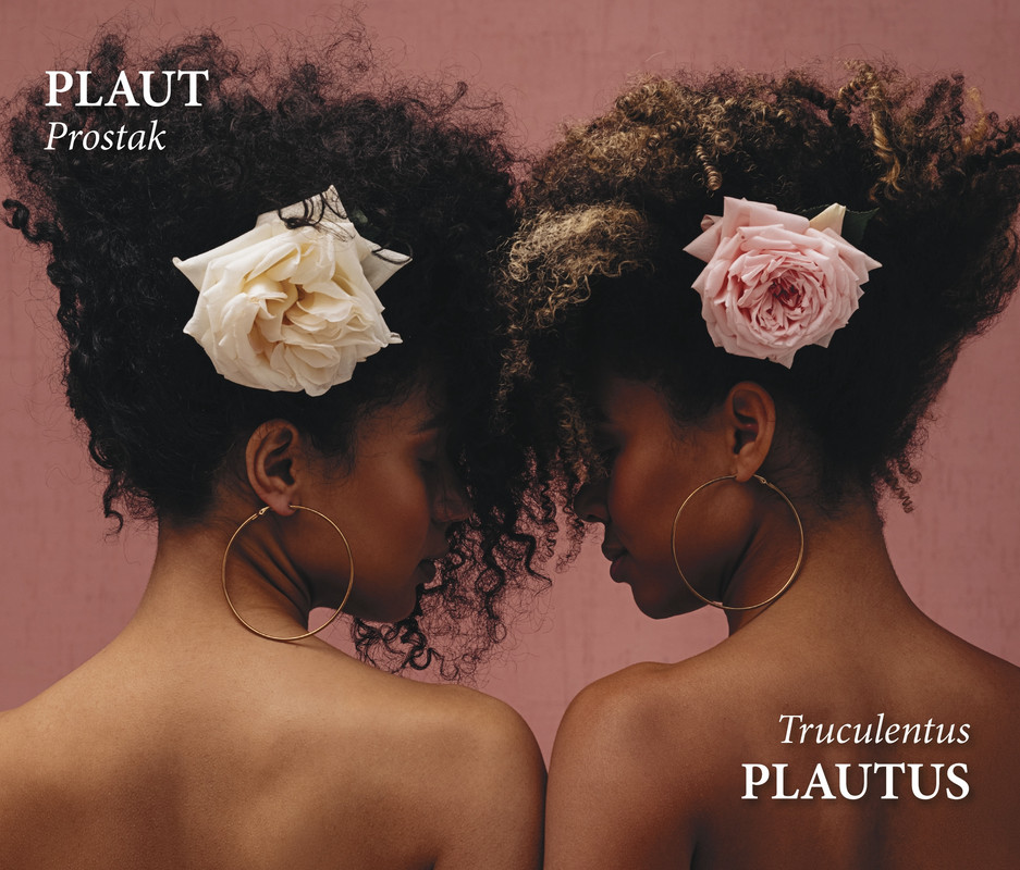 Plaut, Prostak