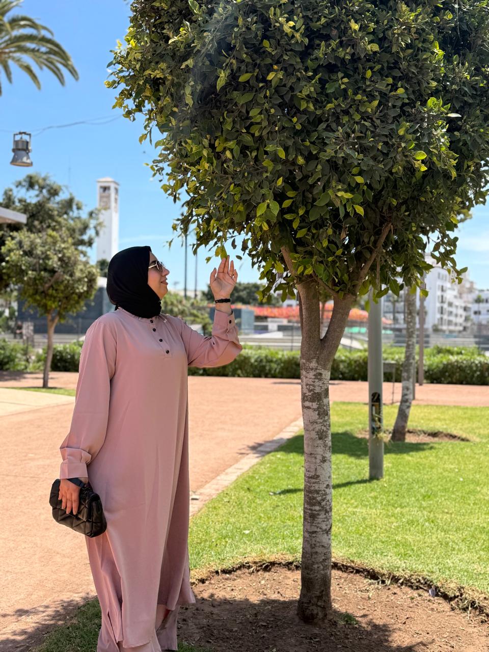 Elegant Long-Sleeve Abaya Dress