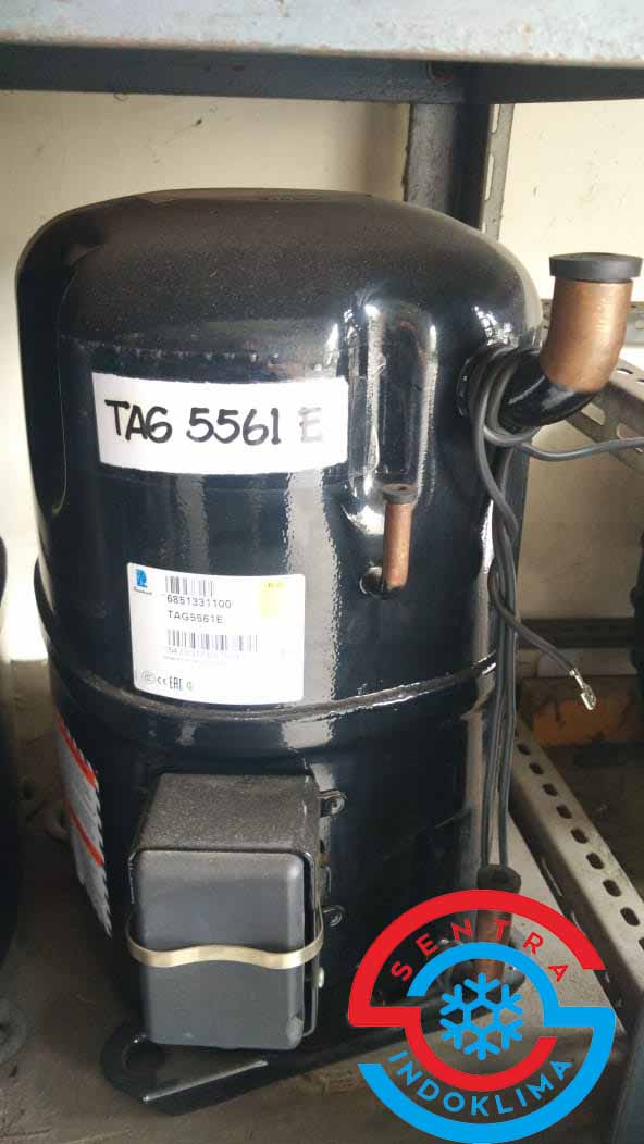 Kompresor Tecumseh TAG5561E