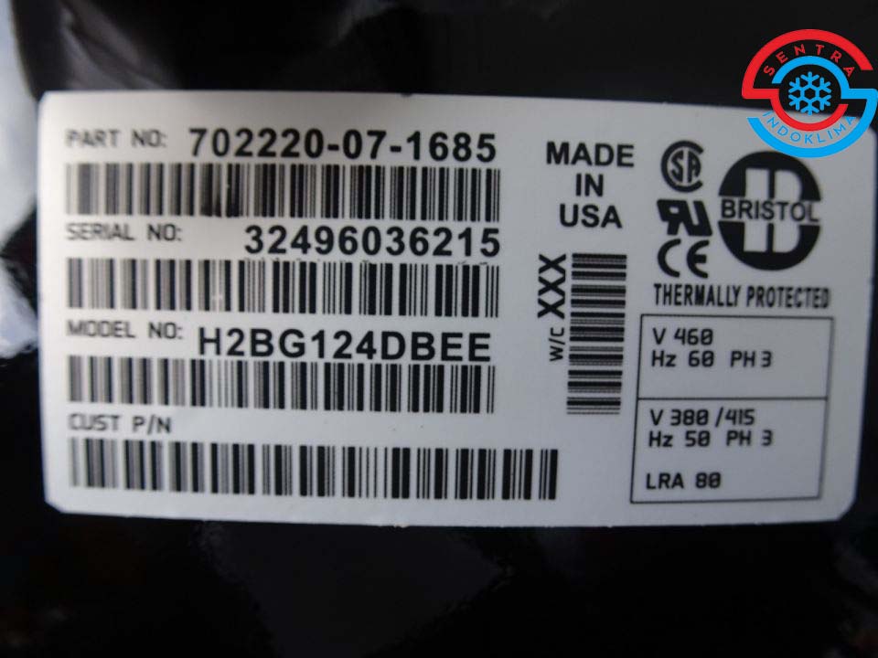 Kompresor Bristol H2BG124DBEE