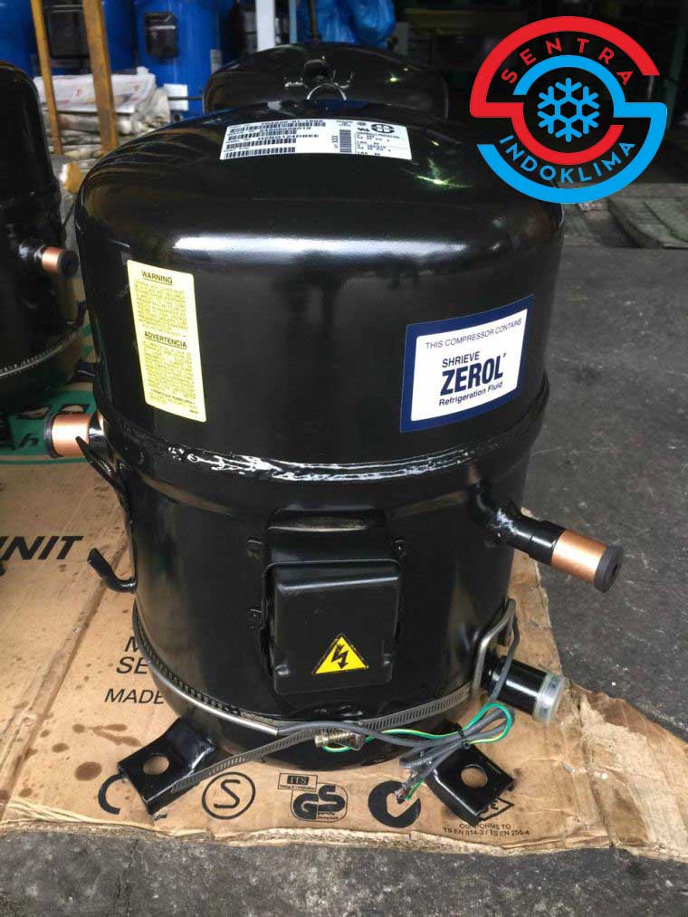 Kompresor Bristol H2NG204DREF