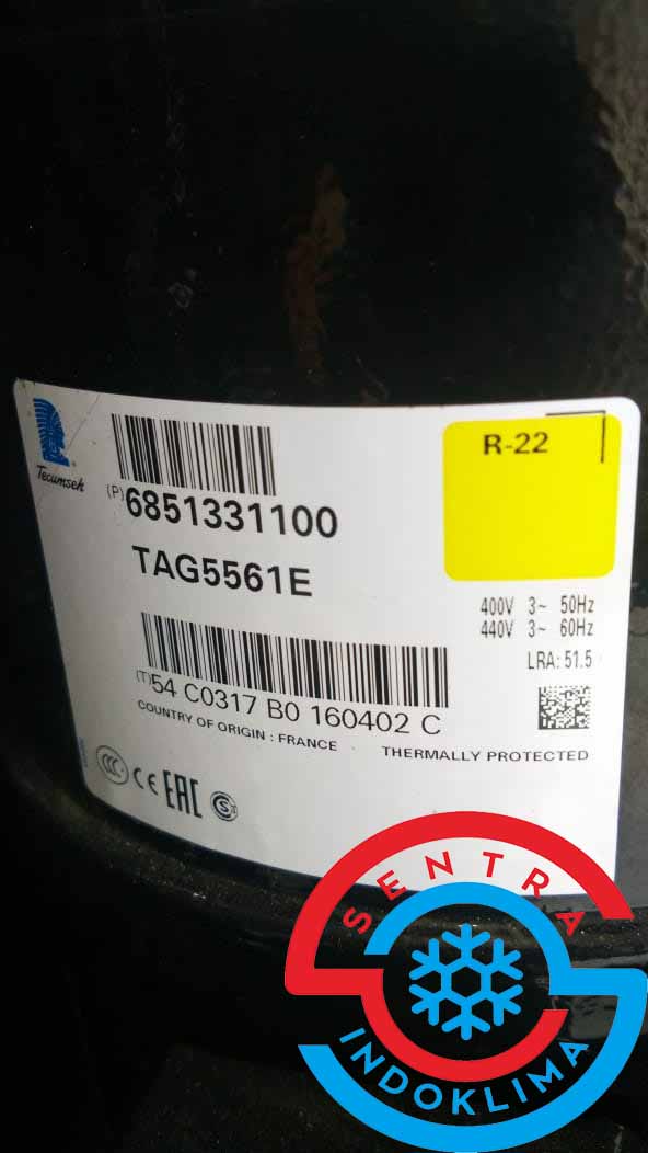 Kompresor Tecumseh TAG5561E