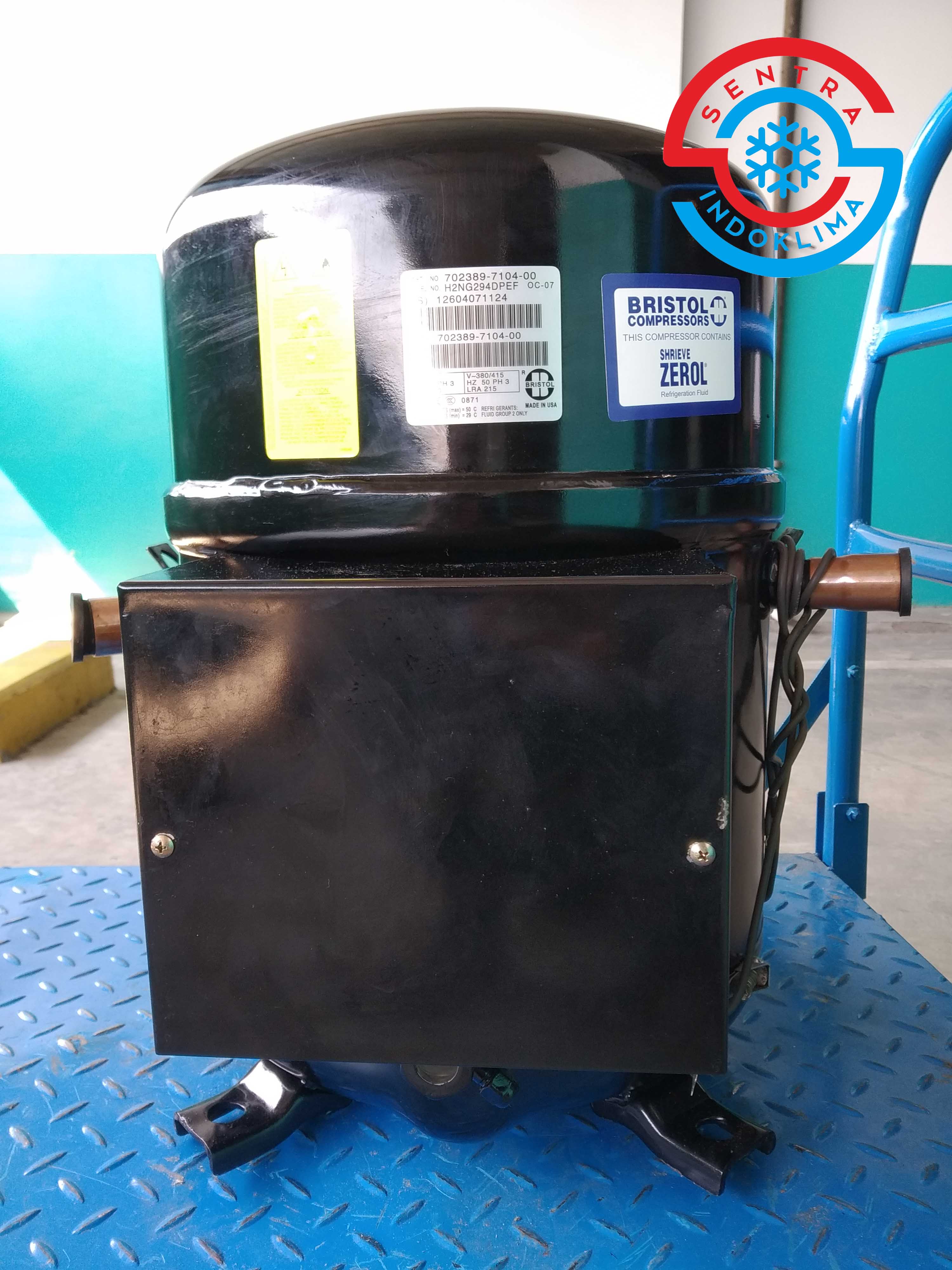 Kompresor Bristol H2NG294DPEF