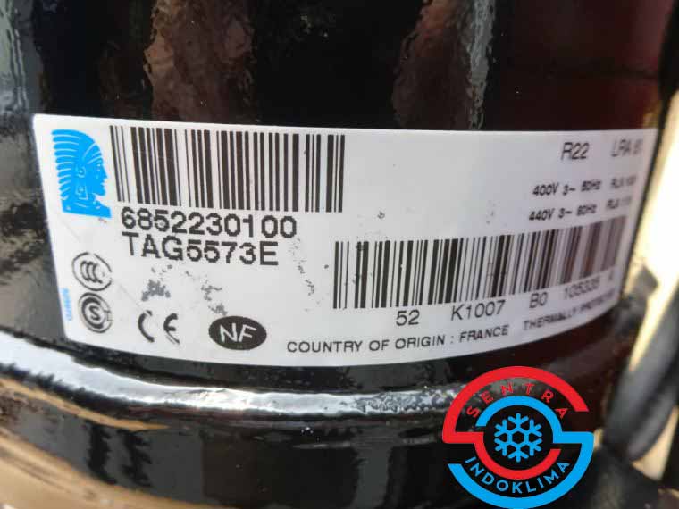 Kompresor Tecumseh TAG5573E