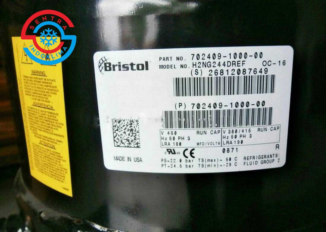 Kompresor  Bristol H2NG244DREF 