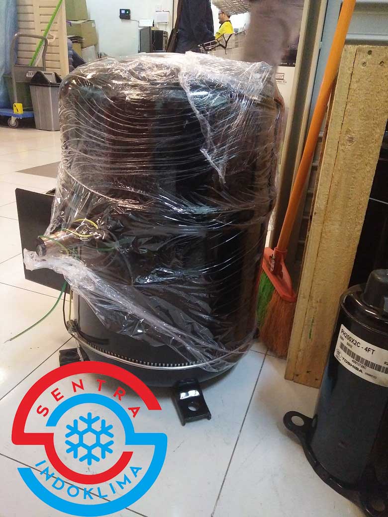 Kompresor Bristol H7NG244DREF