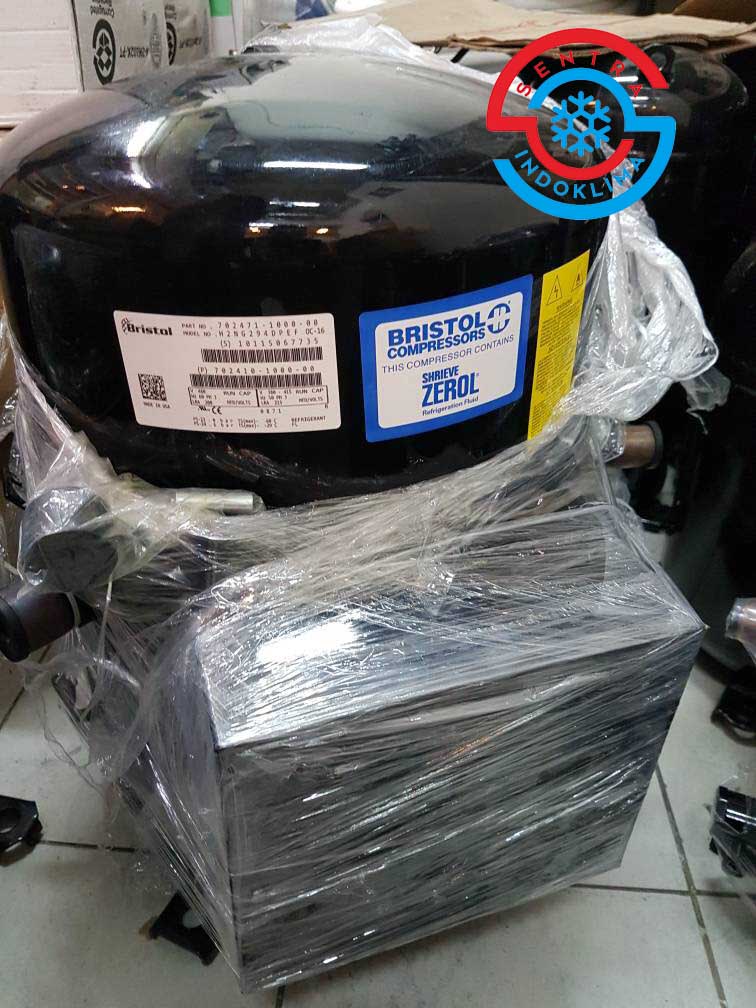 Kompresor  Bristol H2NG244DREF 