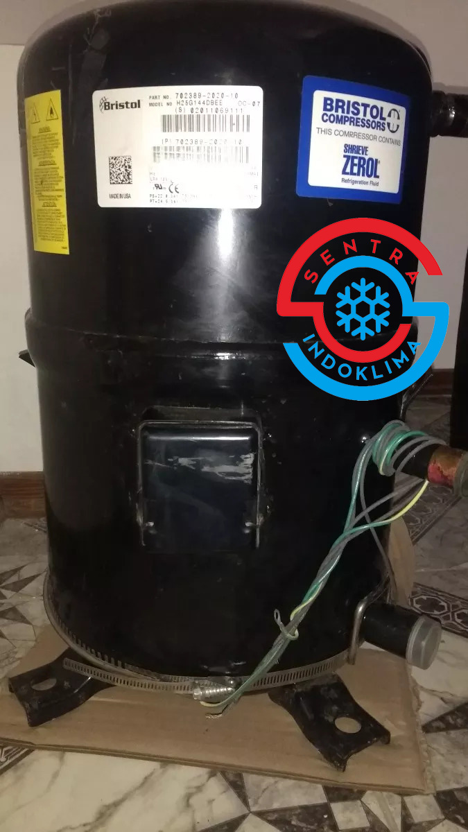 Kompresor Bristol H25G144DBEE