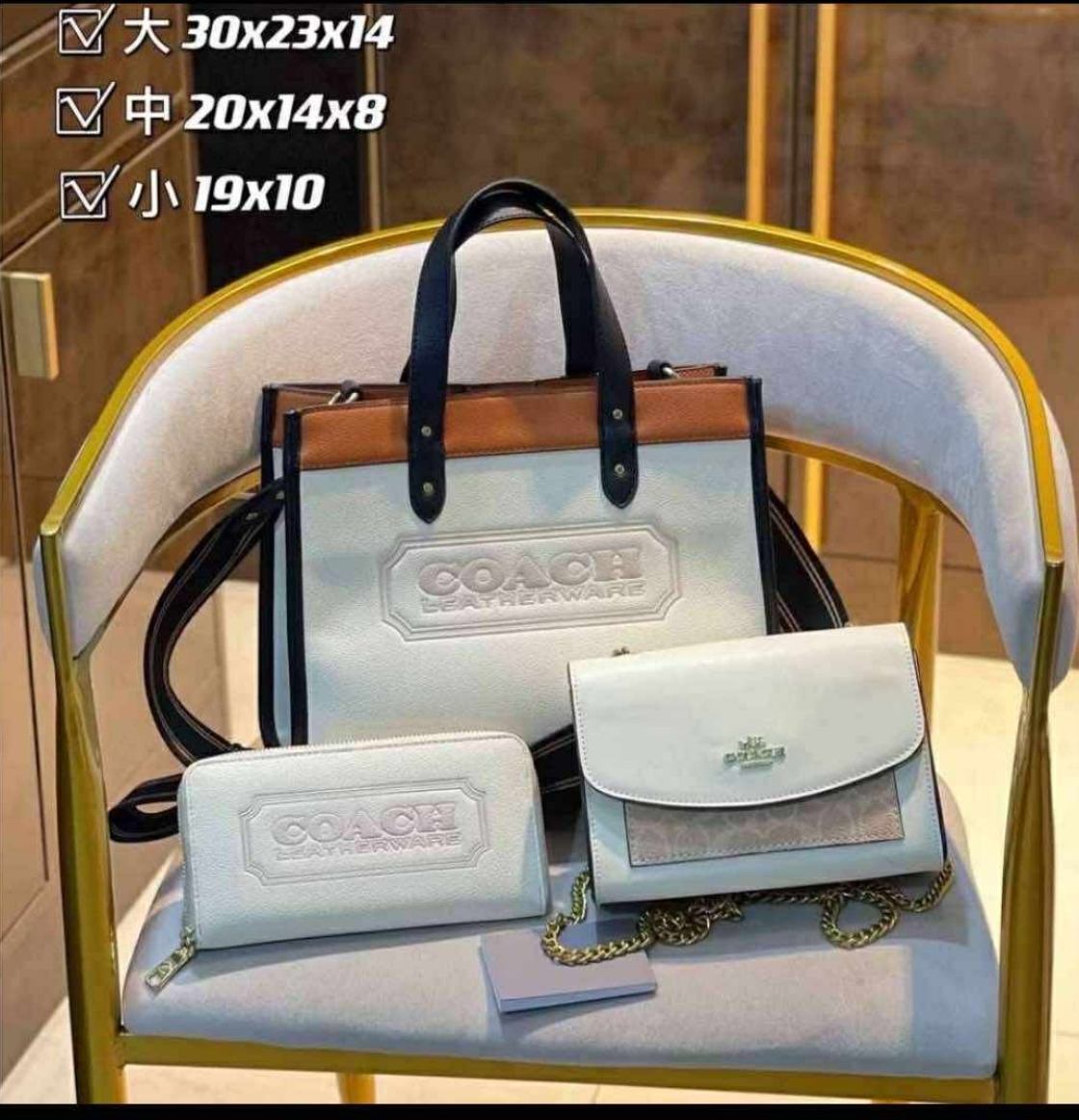 Coach Handbag Set