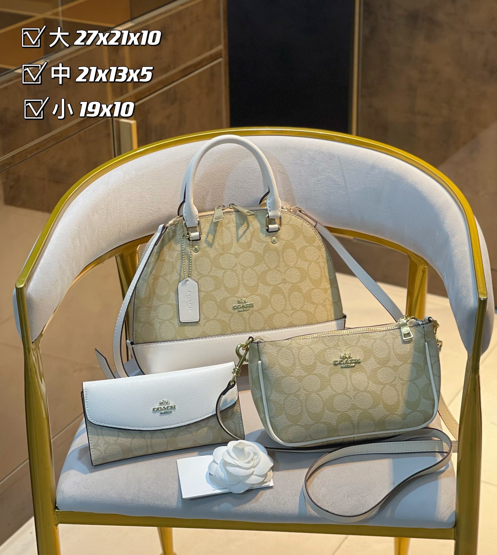 Coach Beige Handbag Set