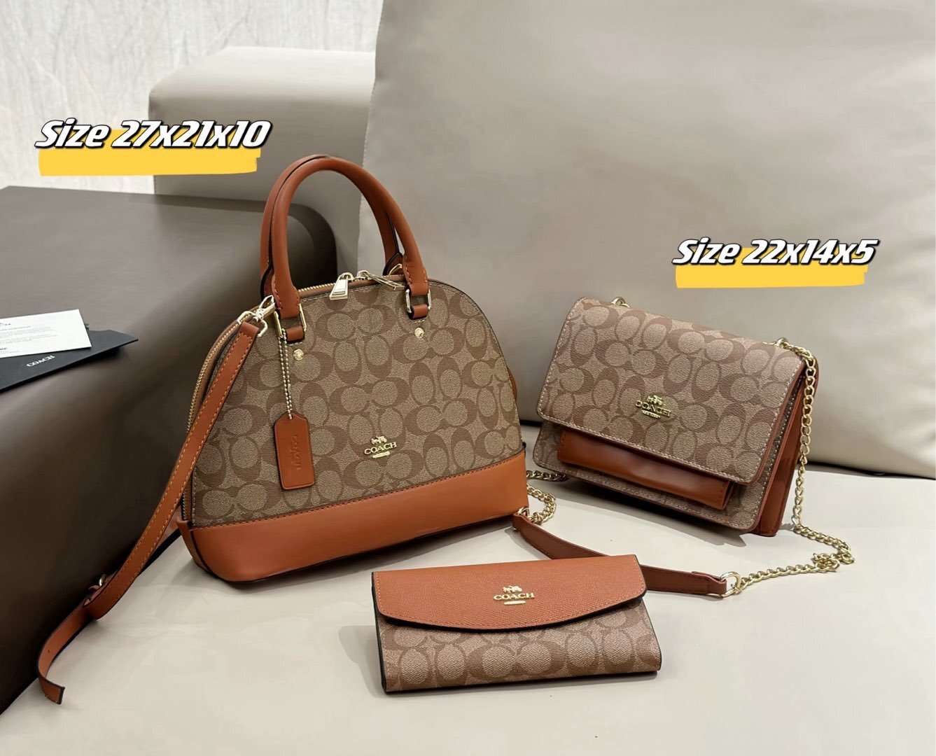 Coach Designer Handbag and Wallet Set