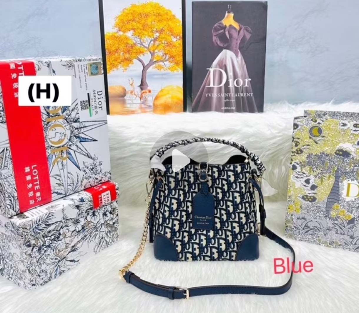 Dior Blue Handbag