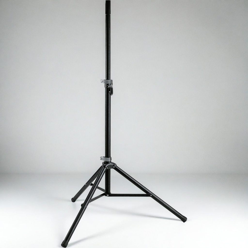 Paire de Pieds d'Enceinte