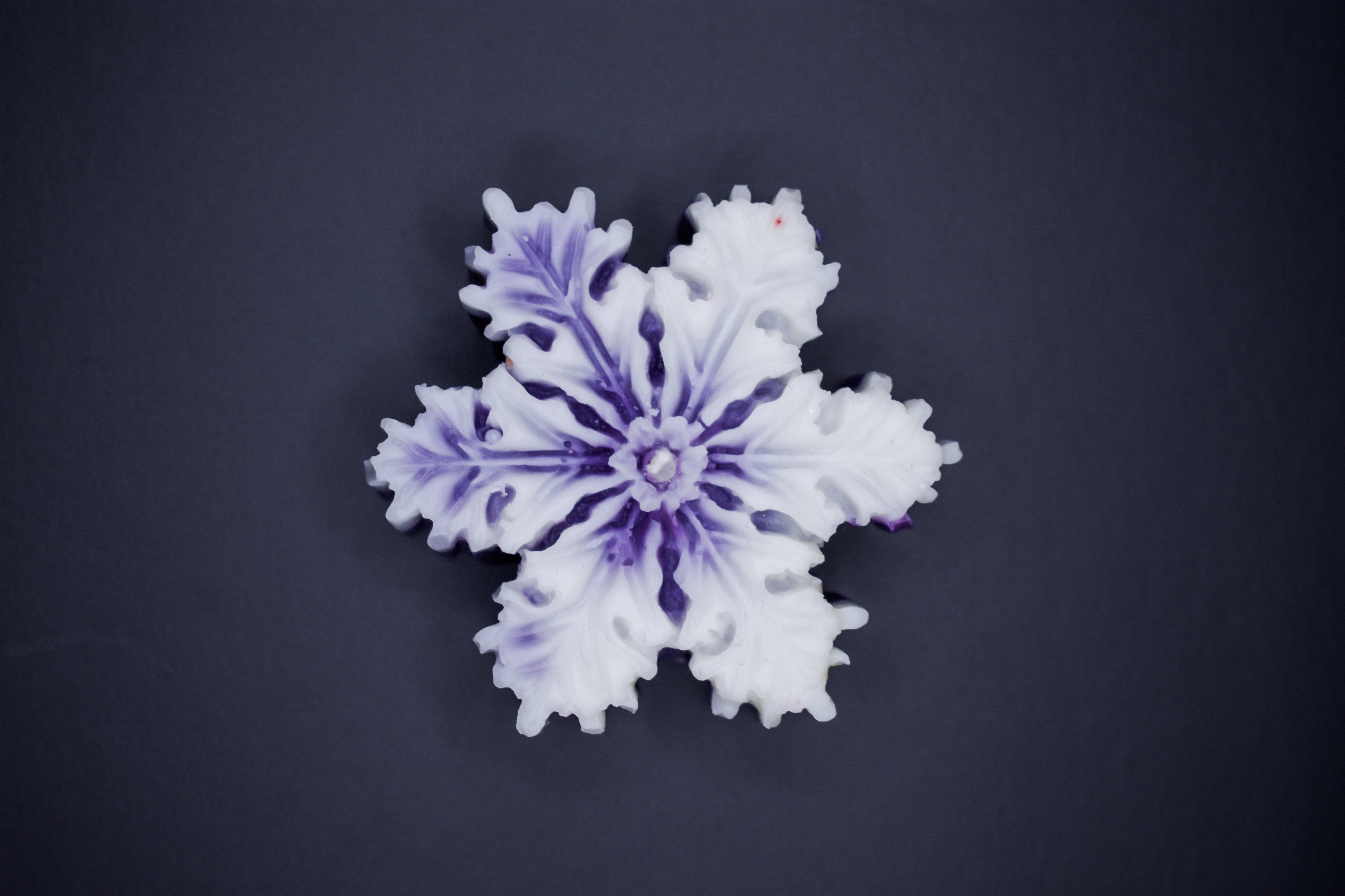 Velas de Rosas, Tulipanes y Flores de Unidad