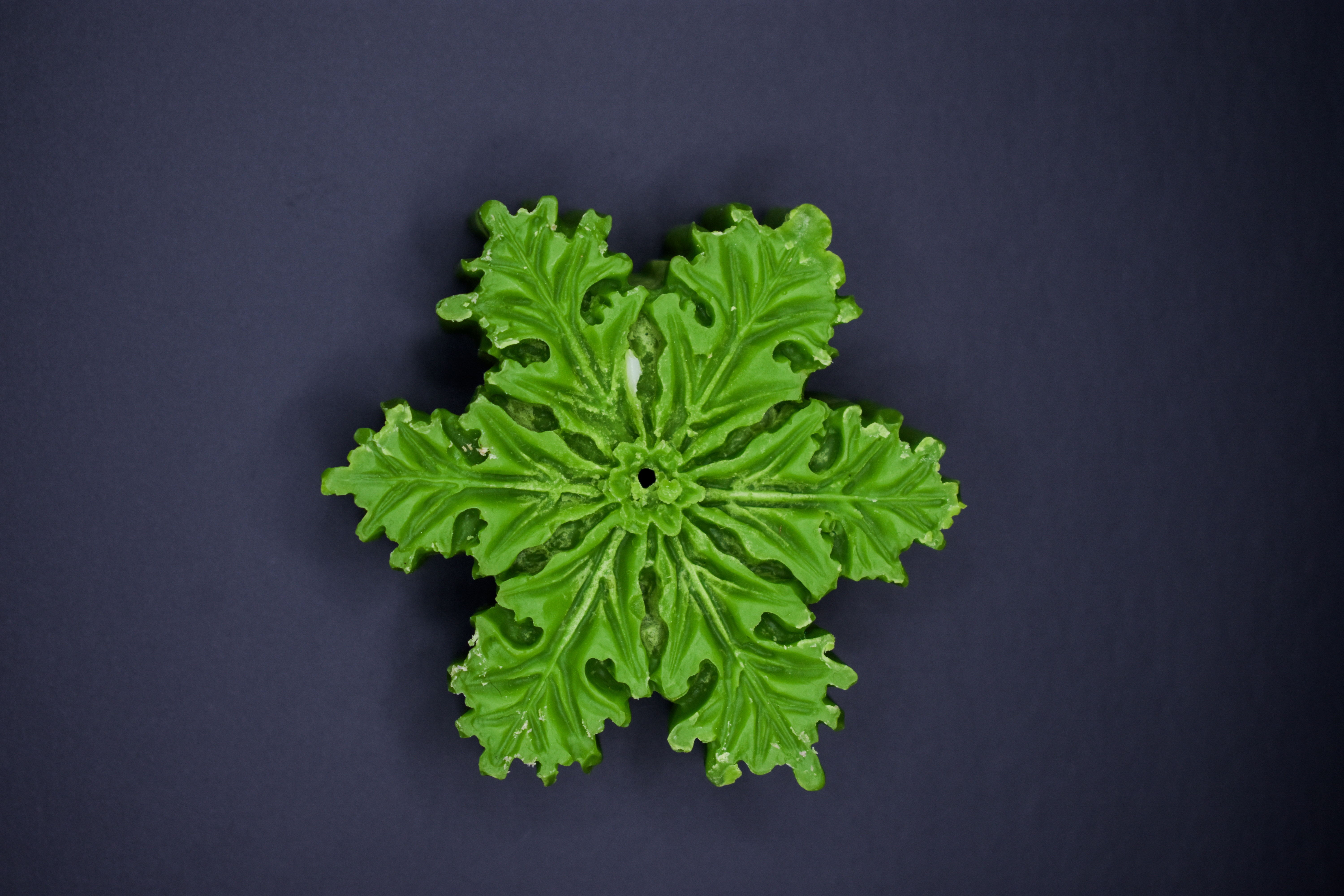 Velas de Rosas, Tulipanes y Flores de Unidad