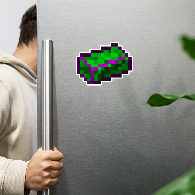 Enchanted Dollar Magnet