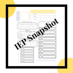IEP Snapshot Form