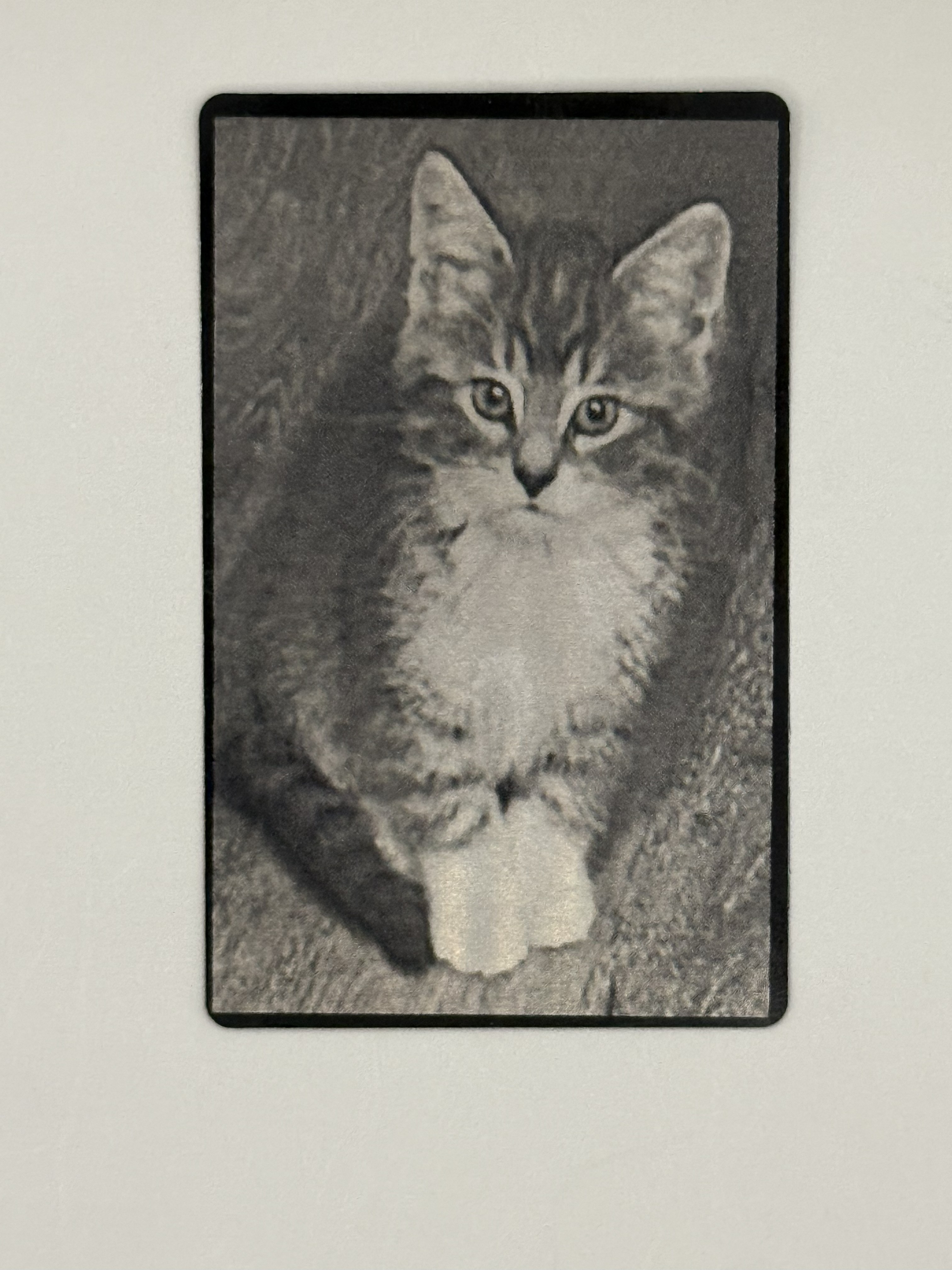 Monochrome Portrait flexible card for your Pet