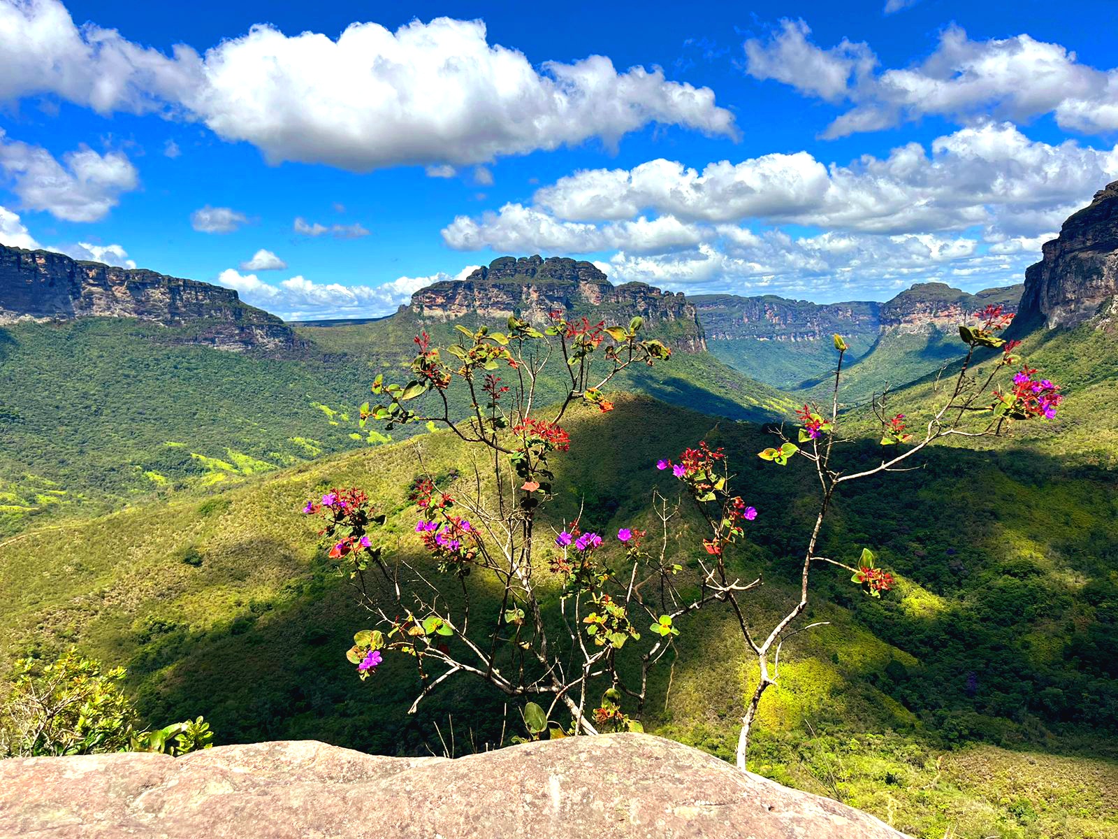 Roteiro Vale do Pati