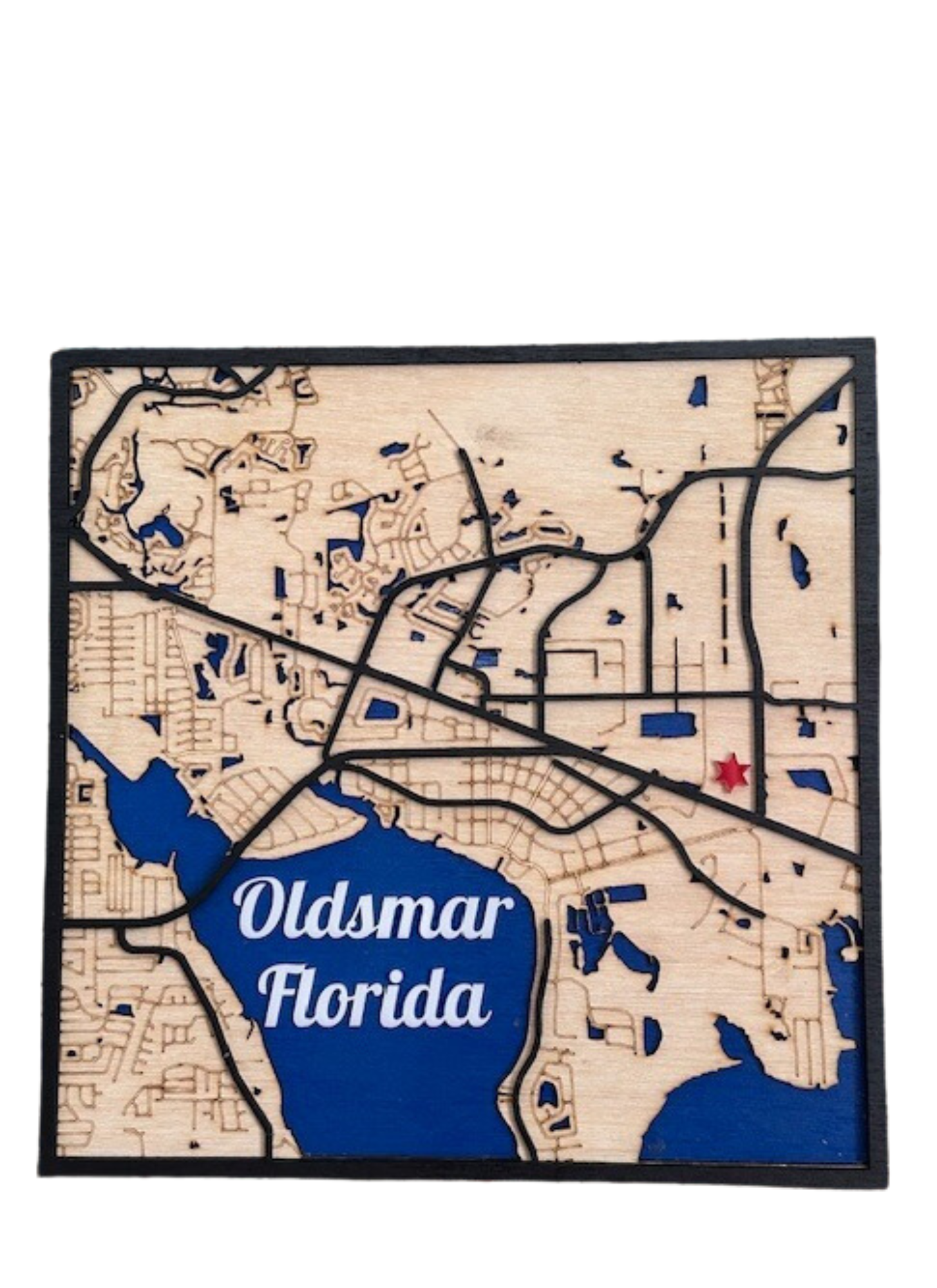 Oldsmar Florida Wooden Map/ map for your area