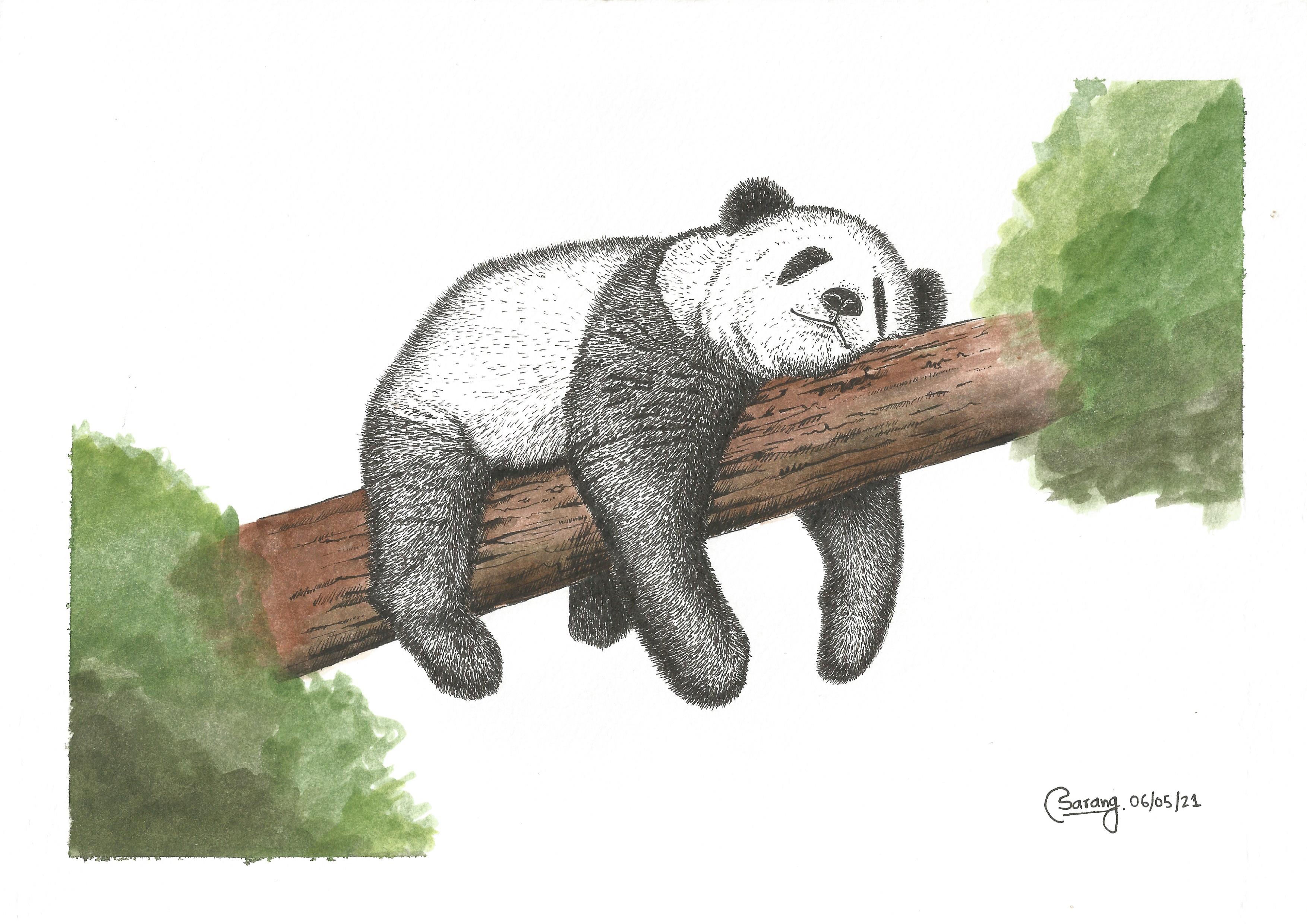 Panda Resting Art Print