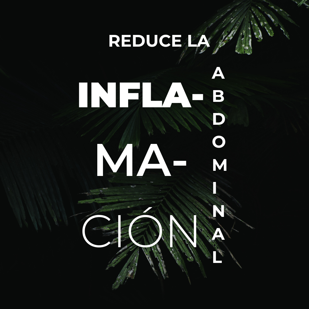 Guía para reducir la inflamación abdominal