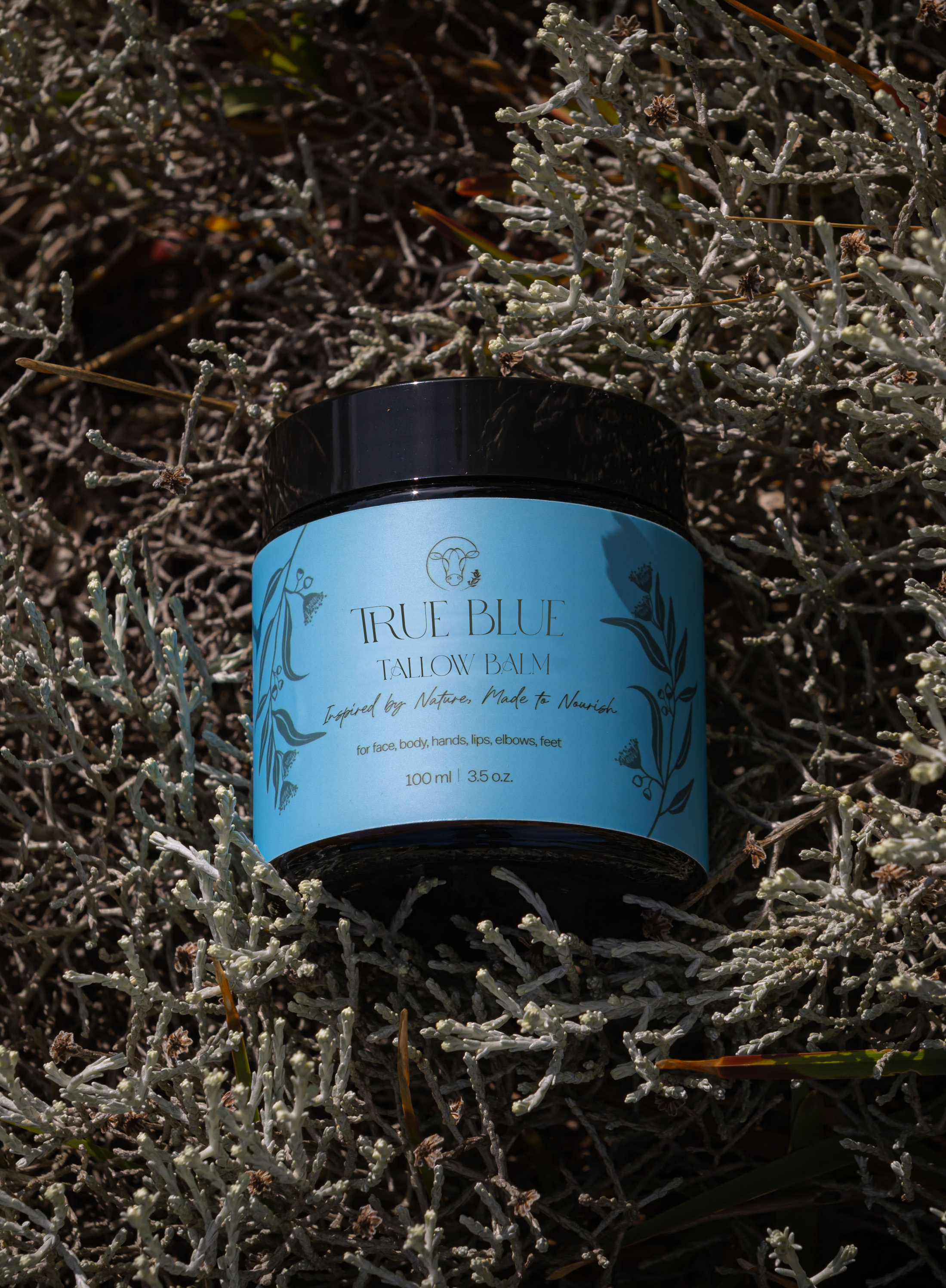 True Blue - Tallow Balm