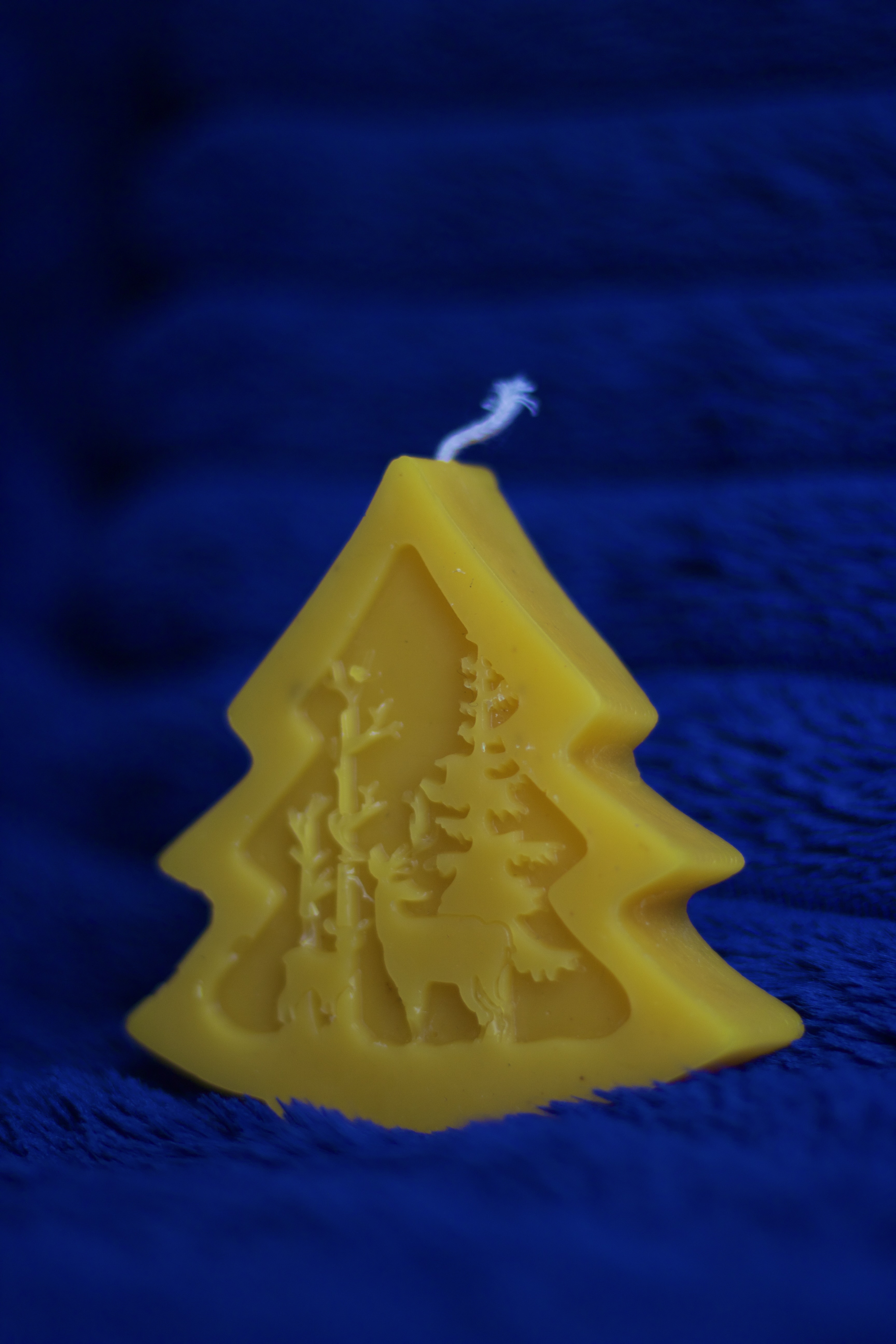 Bičių vaško žvakė