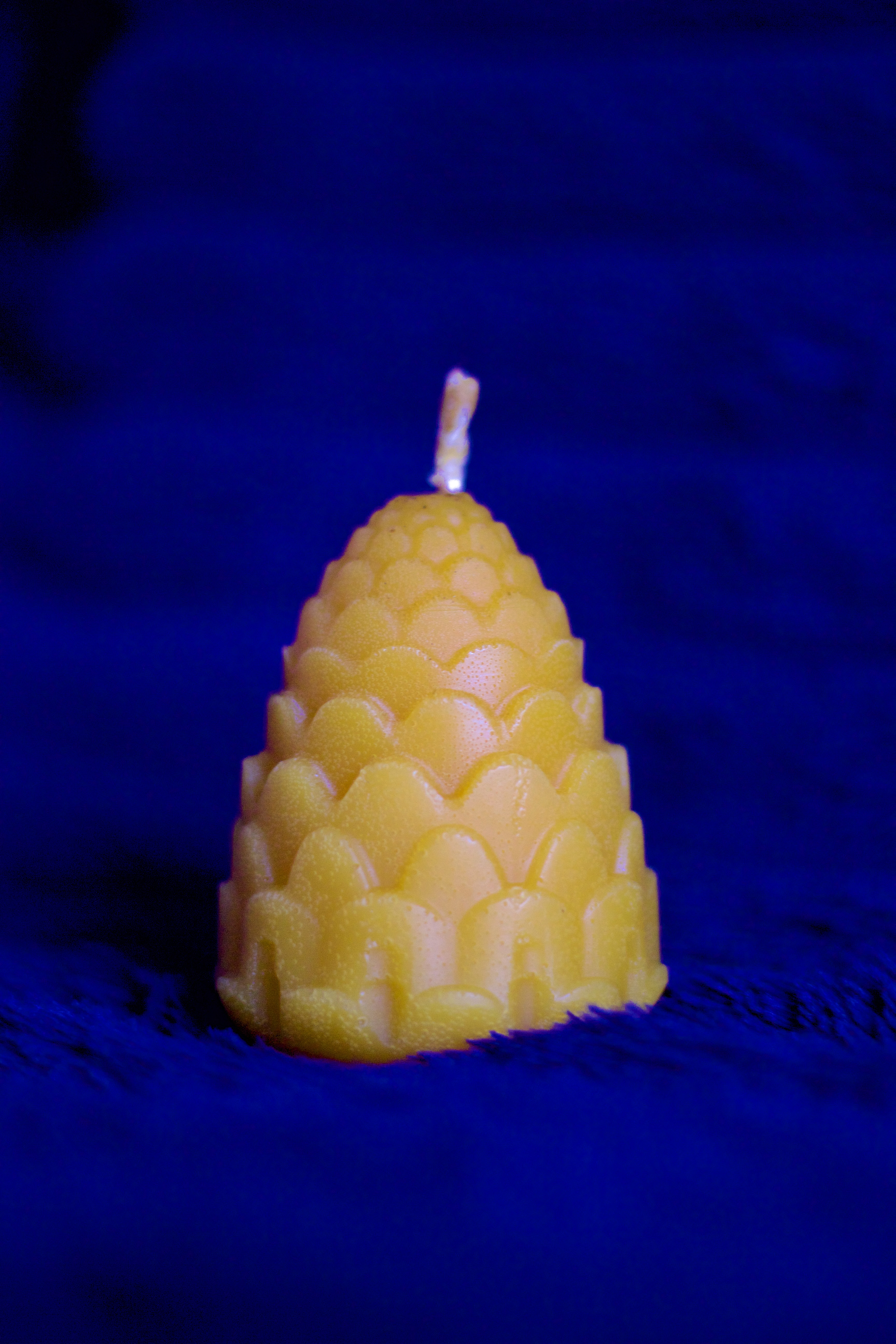 Bičių vaško žvakė