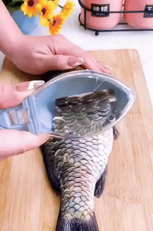 Fishing Scale Brush