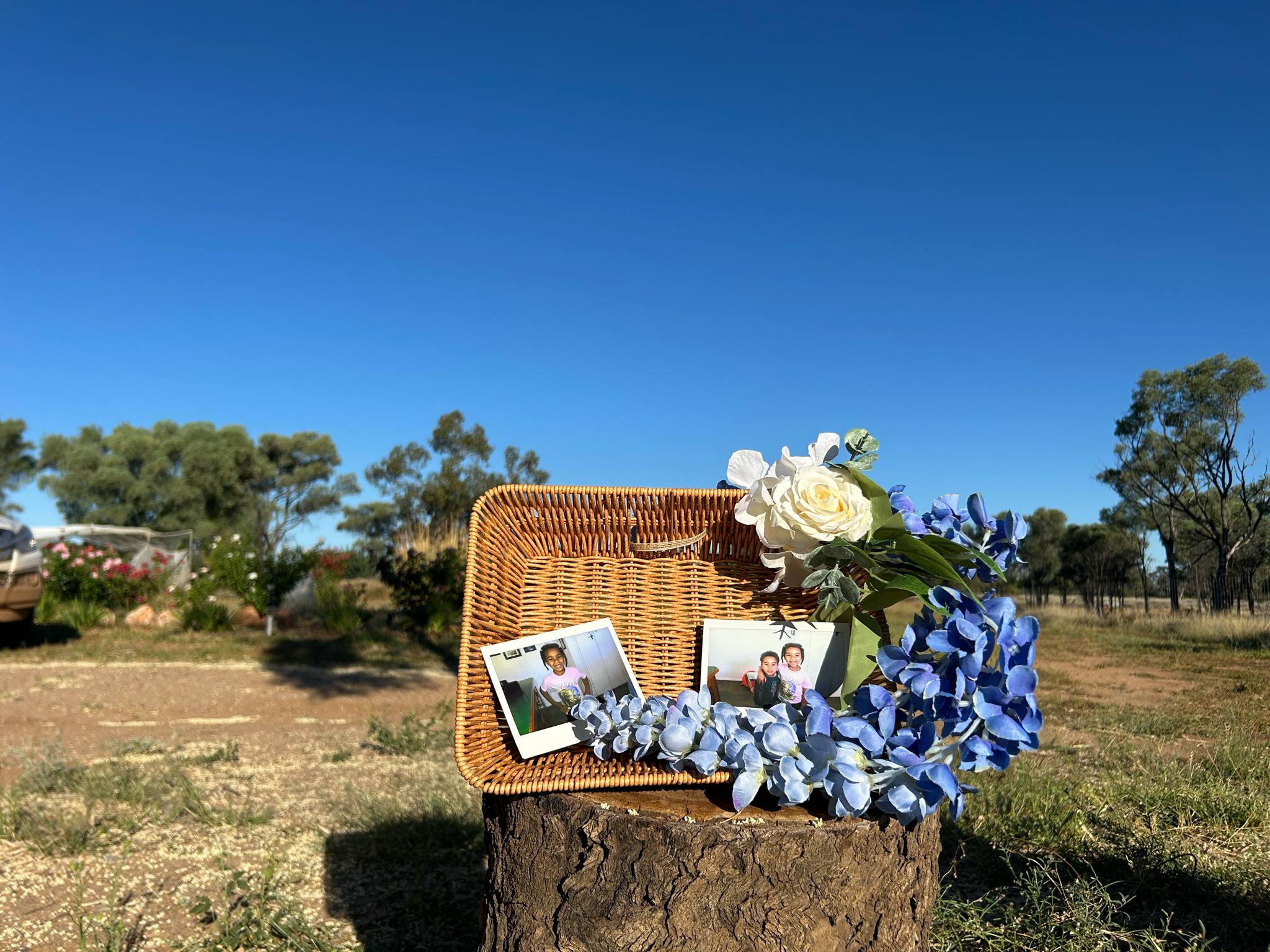 Rectangle shaped Floral Basket photo frame