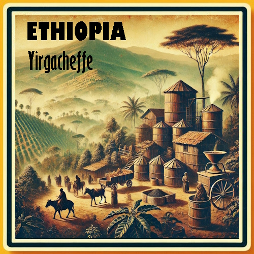 ETHIOPIA Yirgacheffe