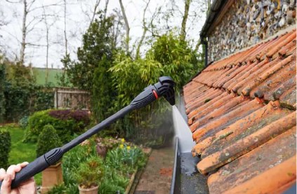 Bosch Home & Cleaning Home and Car Kit 