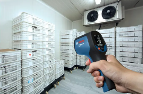 Bosch GIS 500 Professional Thermo Detection 