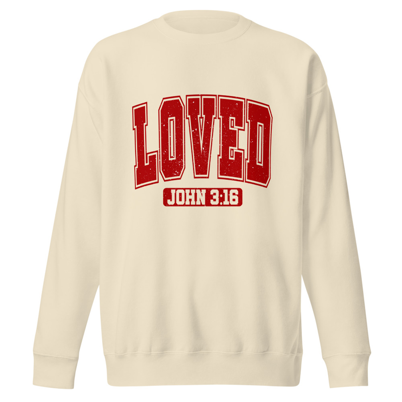 Love - John 3:16 Distressed - Unisex Premium Sweatshirt