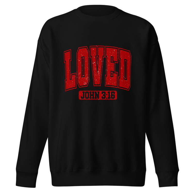 Love - John 3:16 Distressed - Unisex Premium Sweatshirt