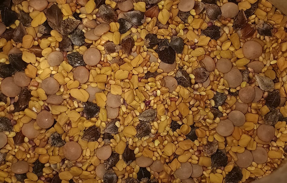 Cover Crop 5 Seed Blend