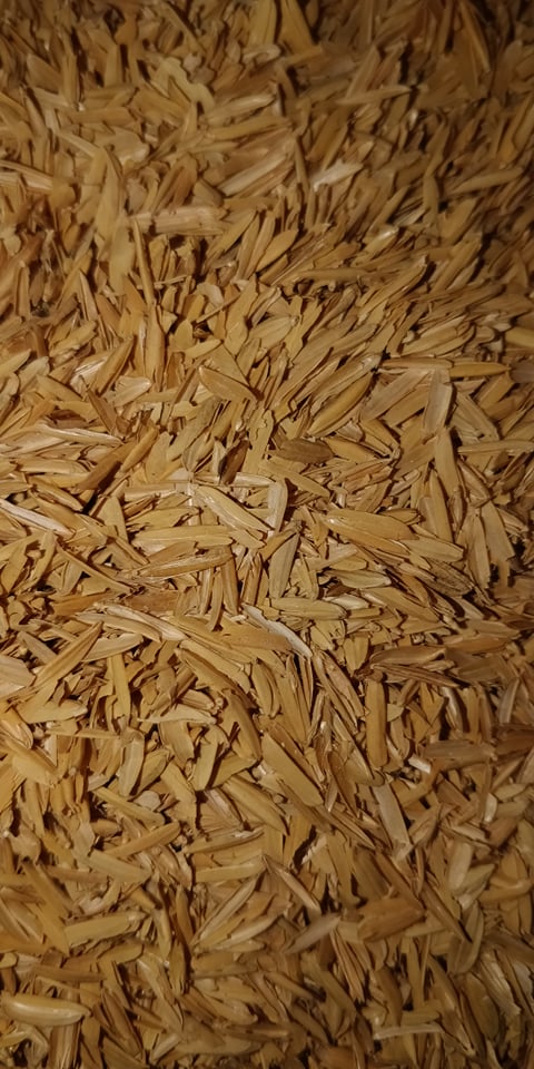 Rice Hulls