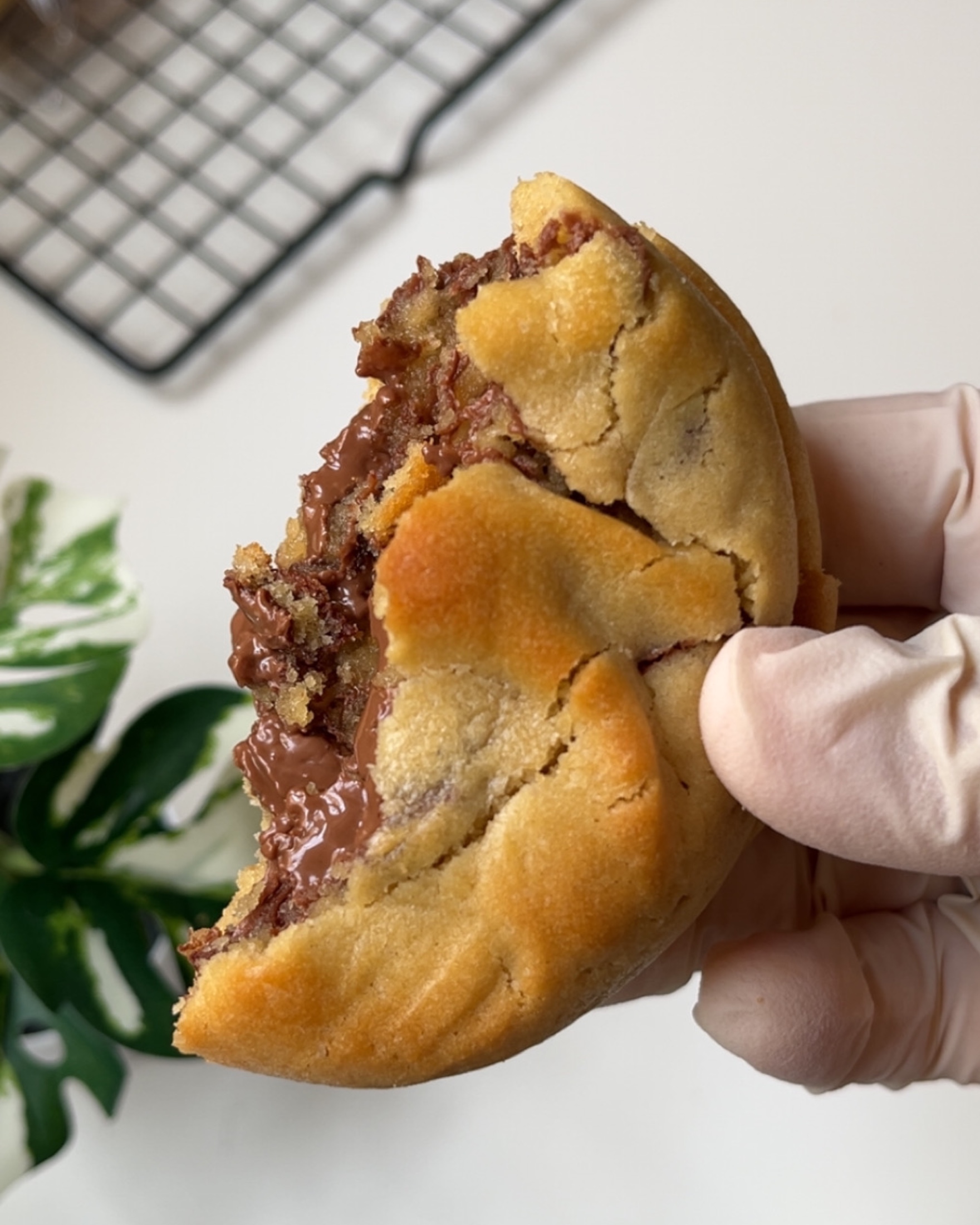 Professional cookie course from scratch