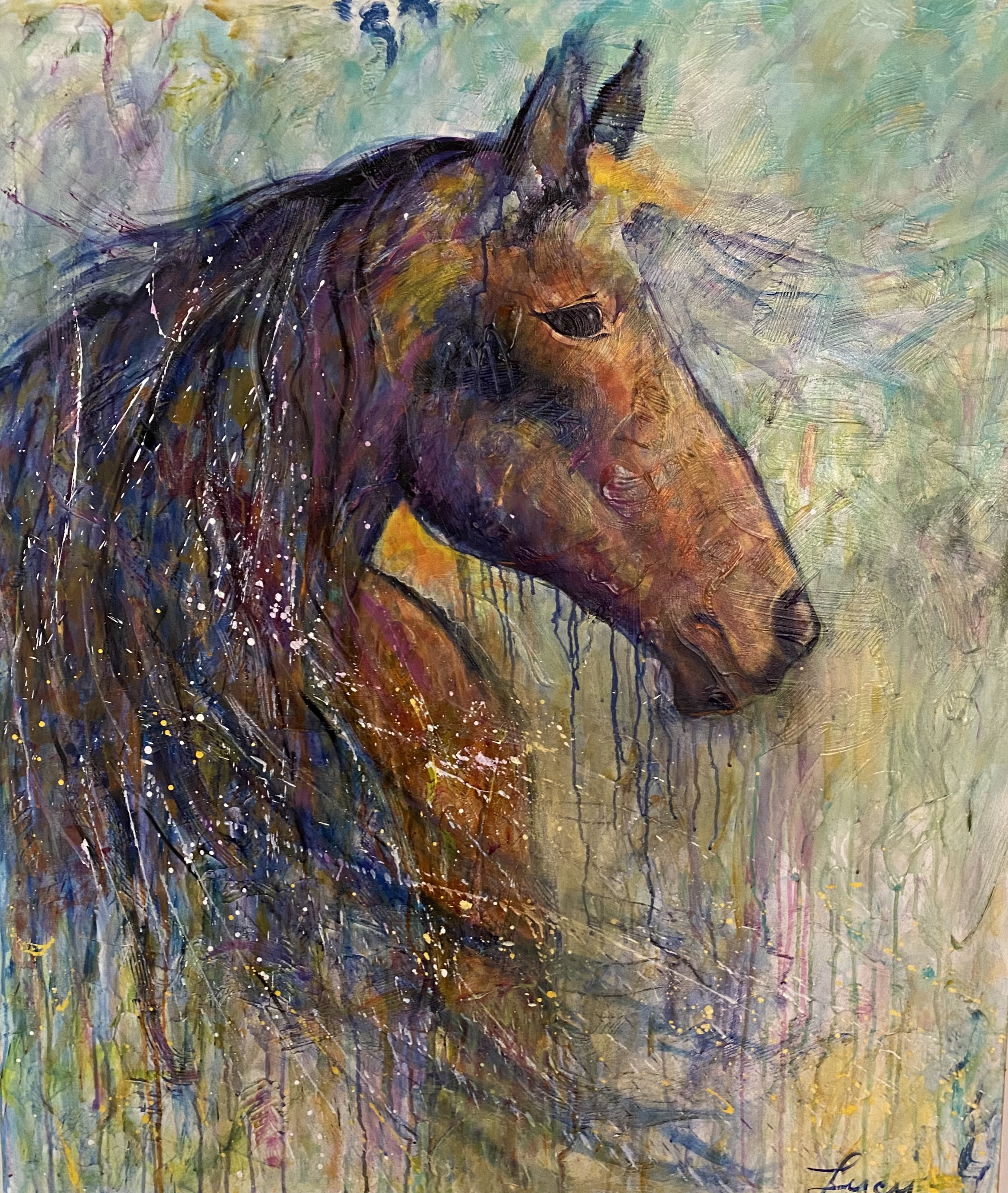 Caballo de los llanos