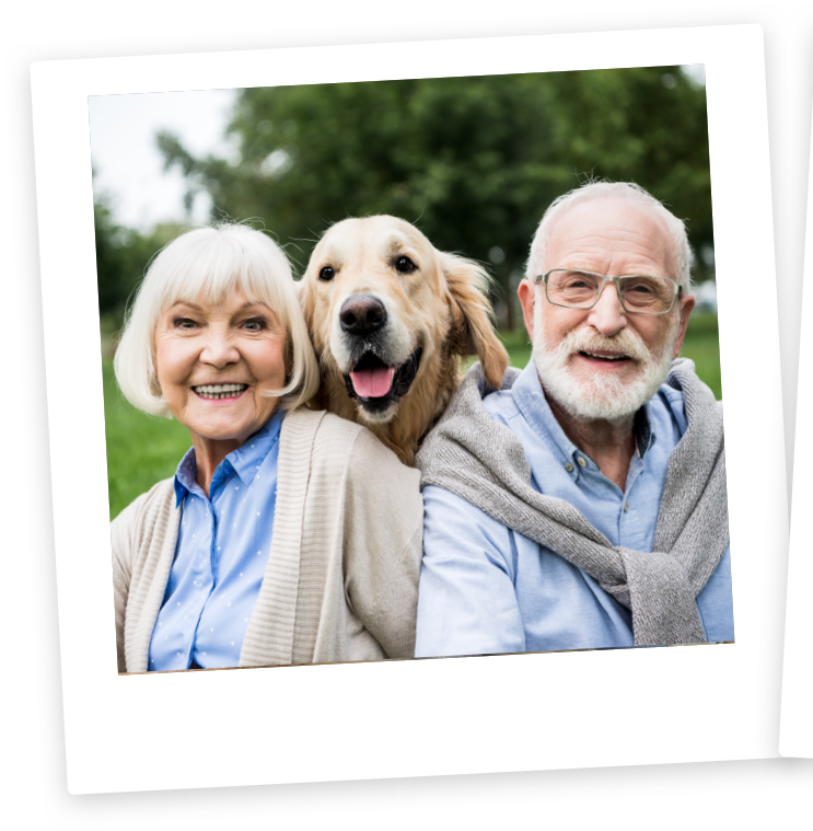 Golden Retriever dog *ultrak9 Pro™