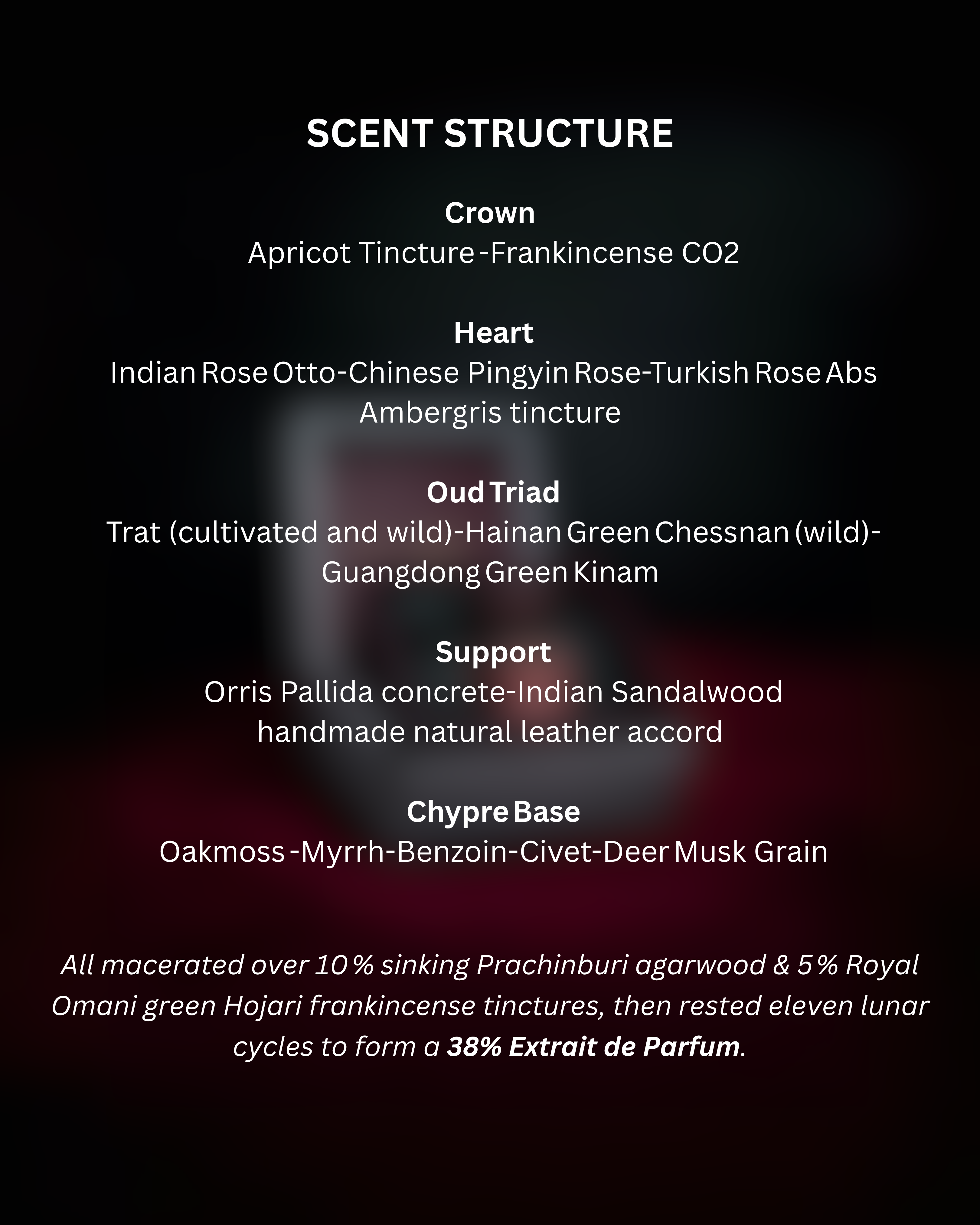 Rose de L'Antiquité Oud