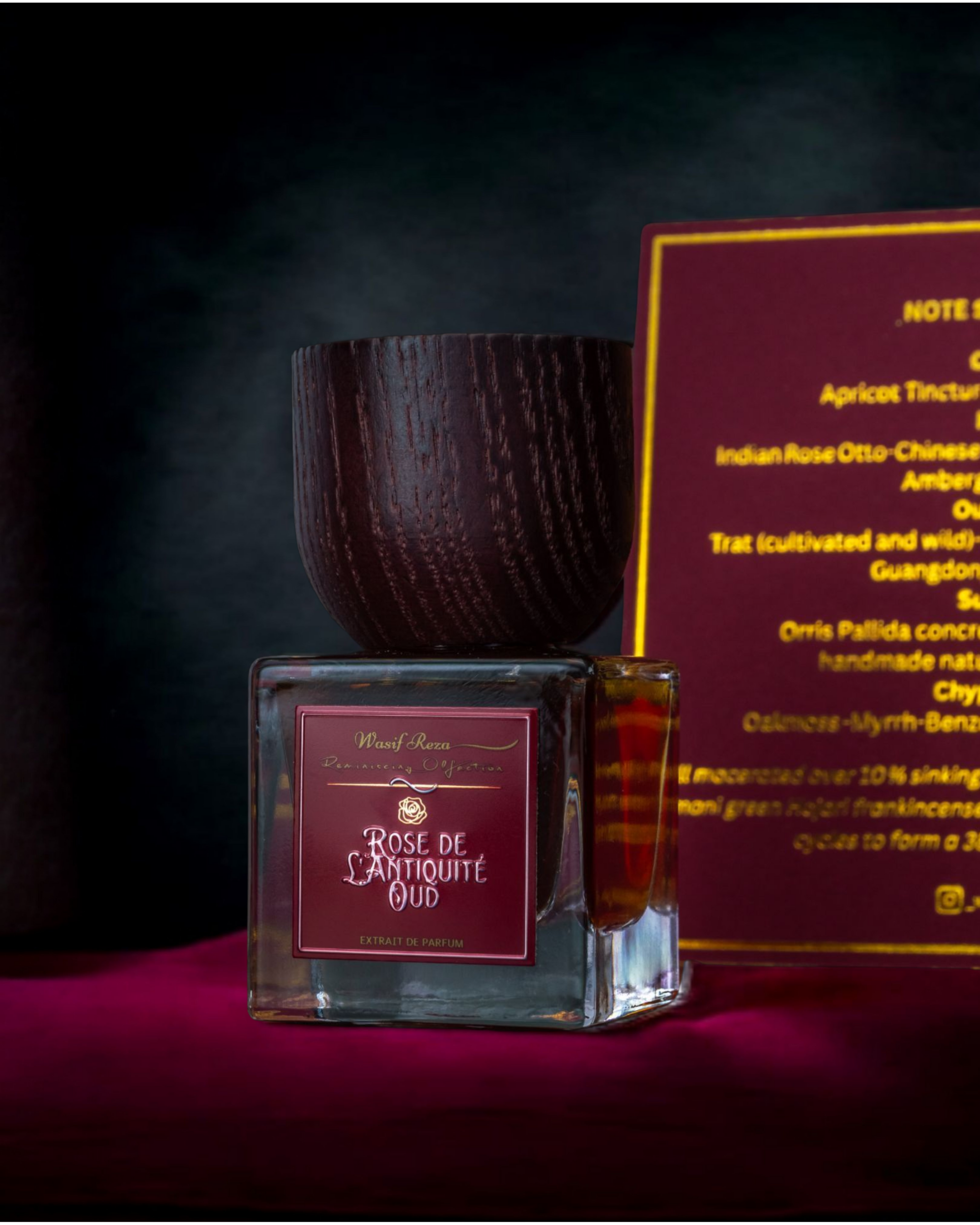 Rose de L'Antiquité Oud